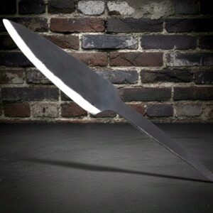 Viking Age Spear Head